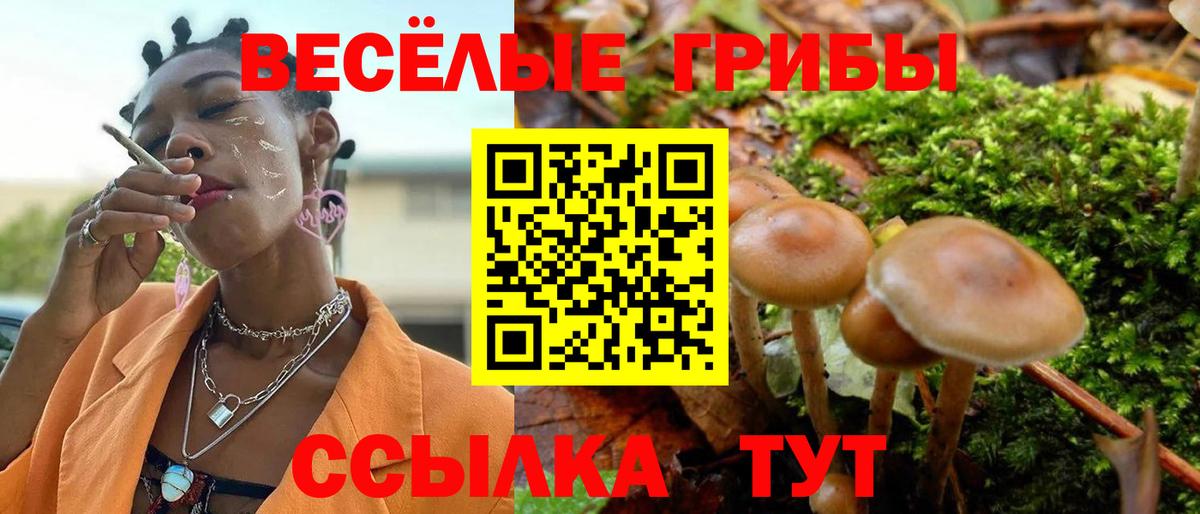 Псилоцибиновые грибы Magic Shrooms  Вход с VPN  Псилоцибиновые грибы ЛСД  Шарыпово 